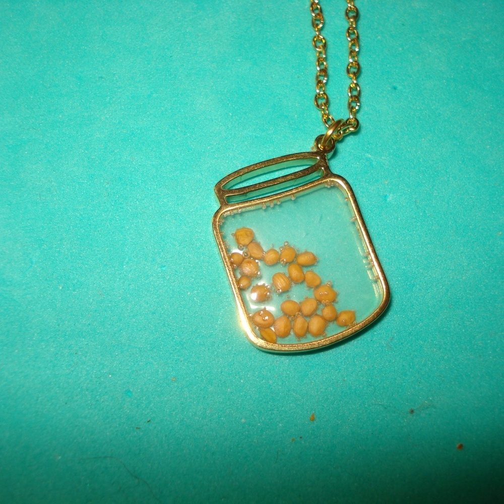 Mustard Seed Jar Pendant Necklace  New!